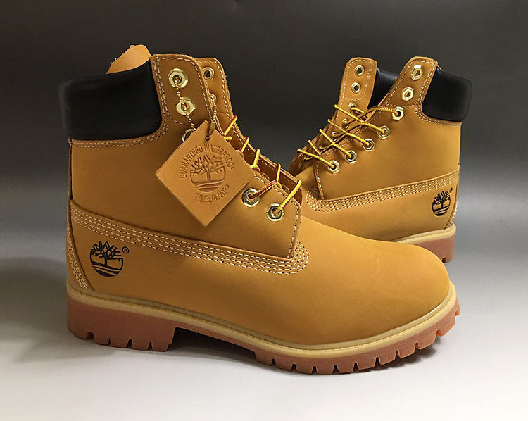 Chaussure Timberland