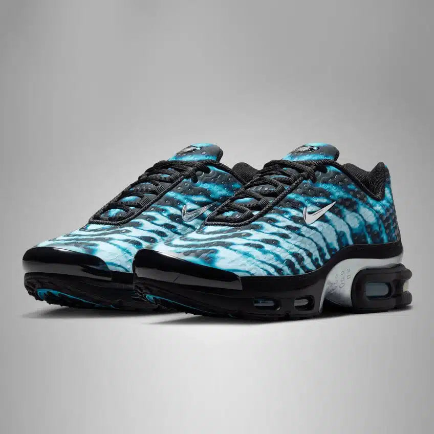 TN7 varsity scorpion